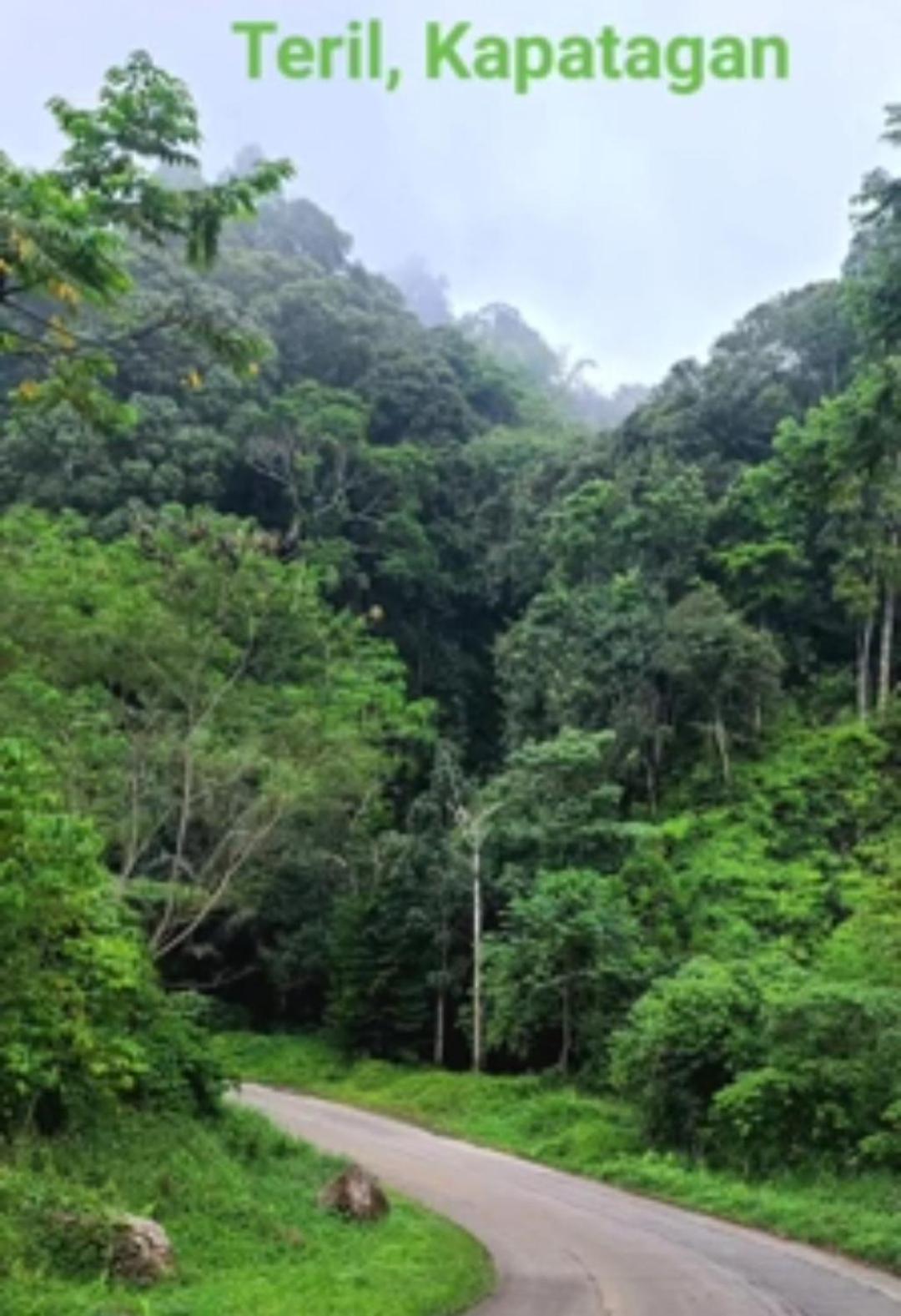 Serene Mountain Escape Digos Экстерьер фото