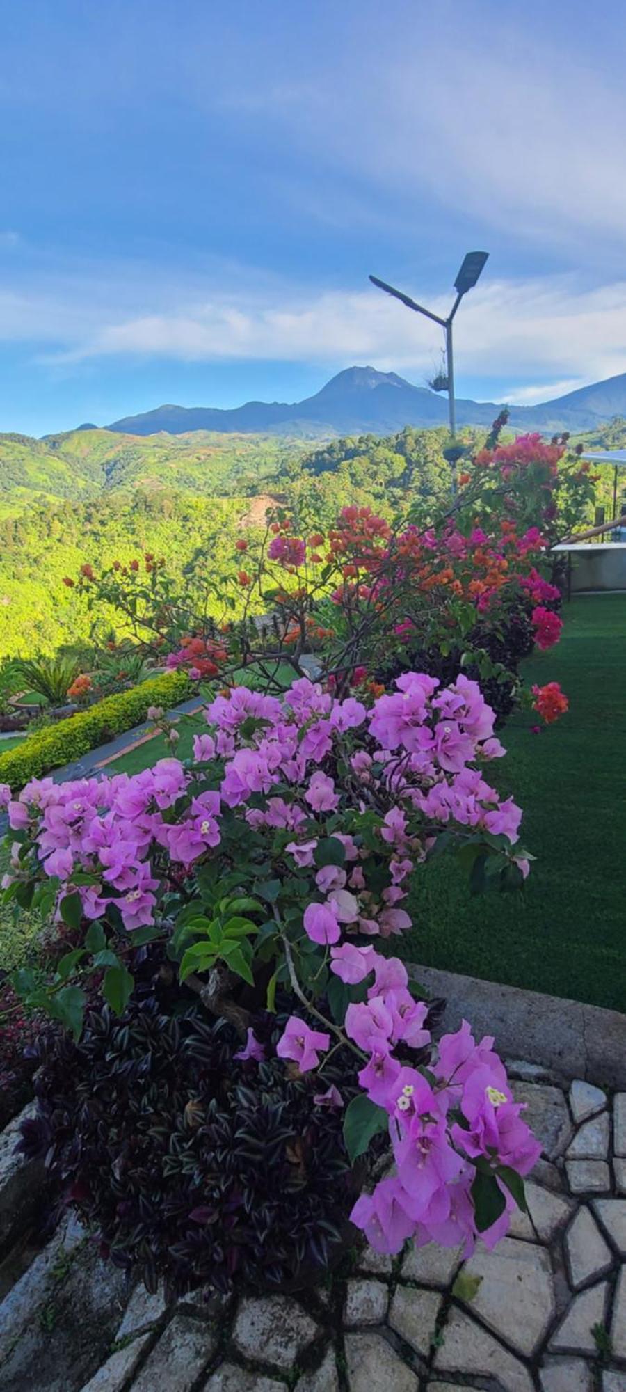 Serene Mountain Escape Digos Экстерьер фото